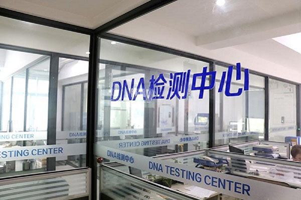 济宁秦皇岛无创DNA检测价格公开透明 